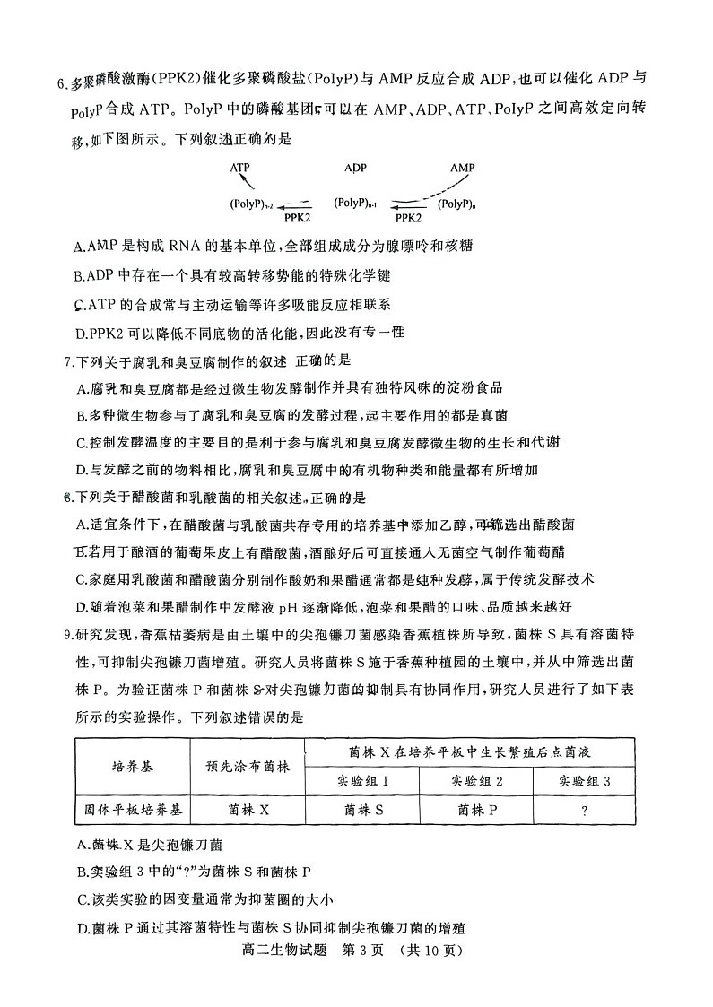 山东省济南市2024-2025学年高二下学期7月期末学习质量检测生物试卷第3页