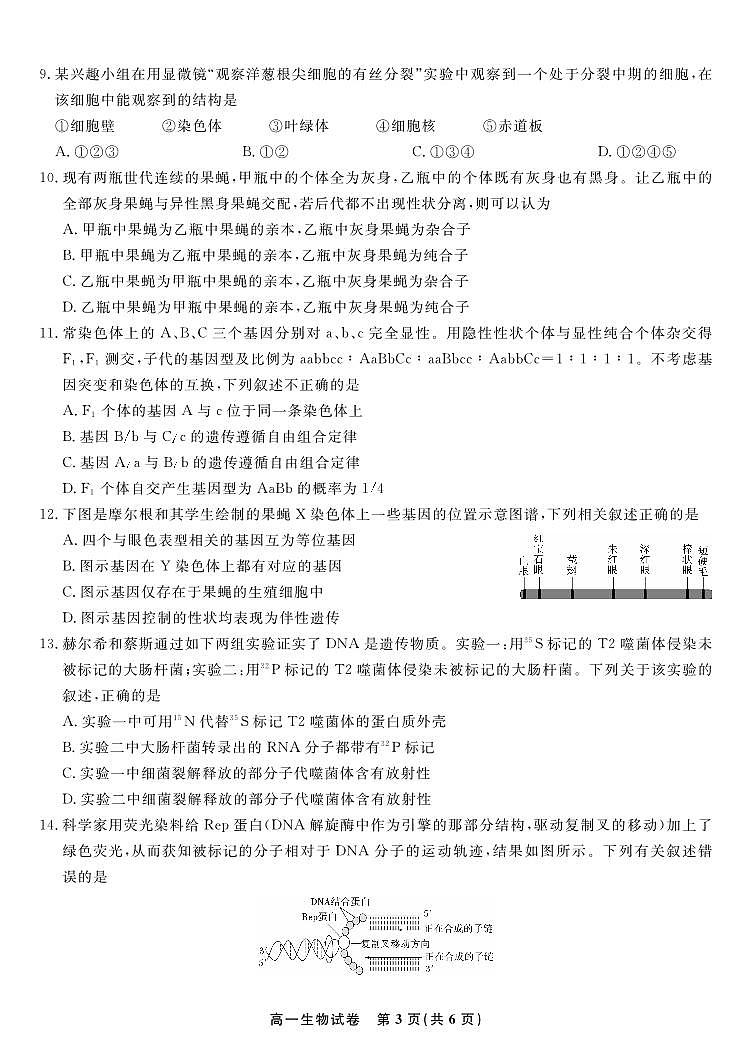 生物试题·2025年7月高一期末联考第3页