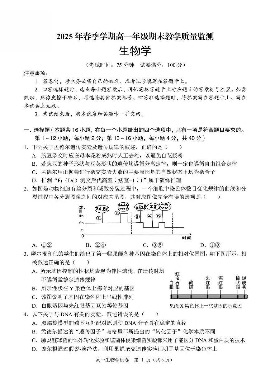 广西南宁市部分学校2024-2025学年高一下学期6月期末考试 生物 PDF版含解析含答案解析第1页