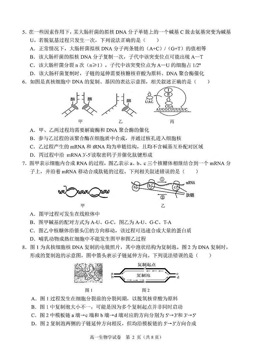 广西南宁市部分学校2024-2025学年高一下学期6月期末考试 生物 PDF版含解析含答案解析第2页