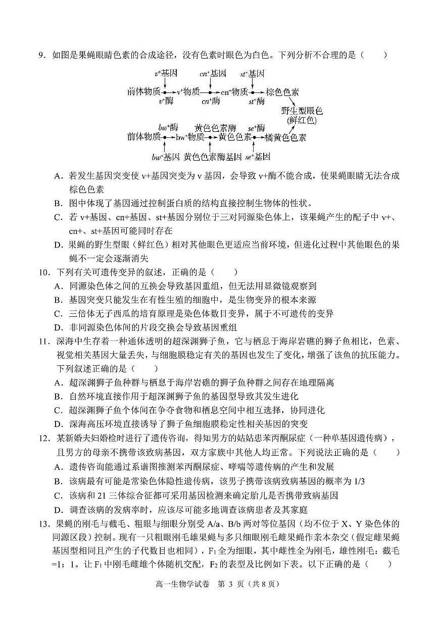 广西南宁市部分学校2024-2025学年高一下学期6月期末考试 生物 PDF版含解析含答案解析第3页
