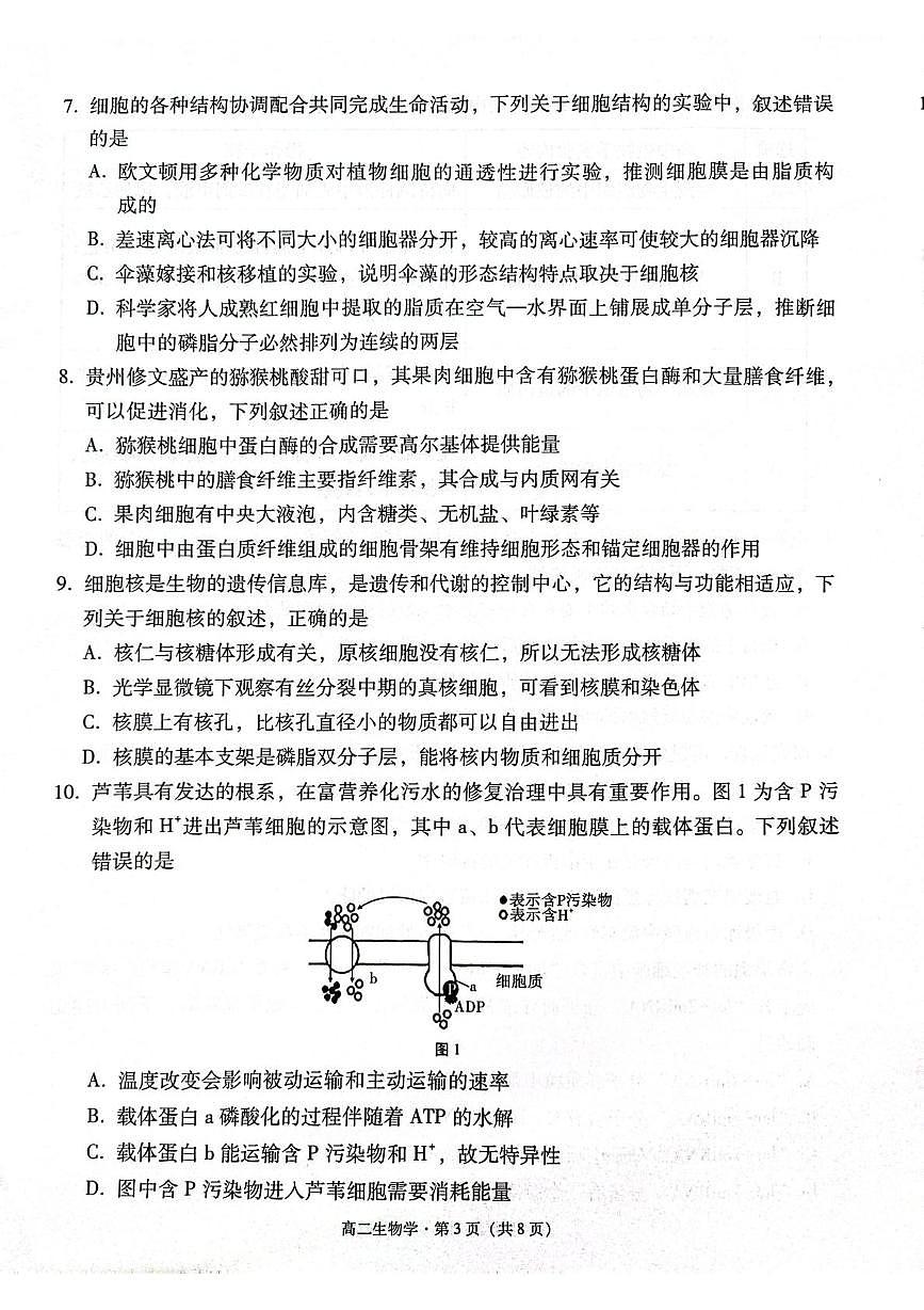 贵州省贵阳市2024-2025学年高二下学期6月期末生物试题（含答案）第3页