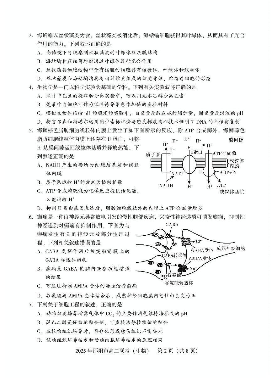 湖南省邵阳市2024-2025学年高二下学期7月期末考试生物试题+答案第2页