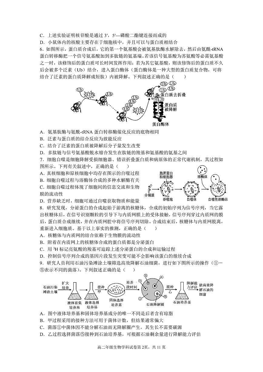 辽宁省沈阳市东北育才学校2024-2025学年高二下学期第二次月考试题 生物 PDF版含答案含答案解析第2页