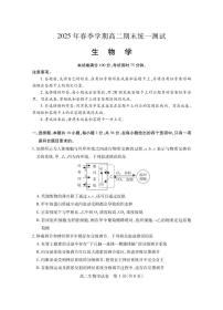 湖北省黄石市2025届新高二下学期7月期末统一测试-生物试题+答案