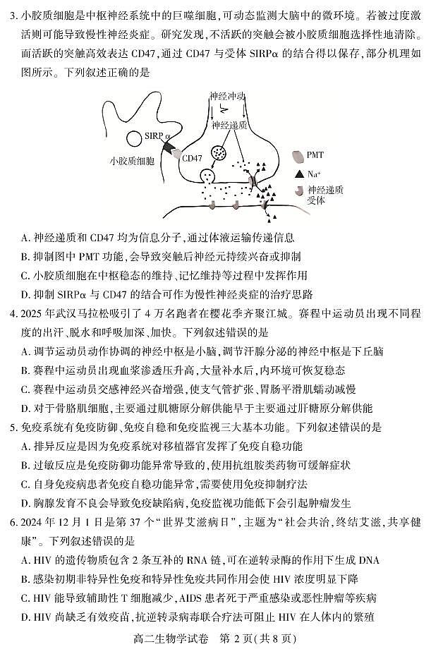 湖北省天门市2025届新高二下学期7月期末统一调研测试-生物试题+答案第2页