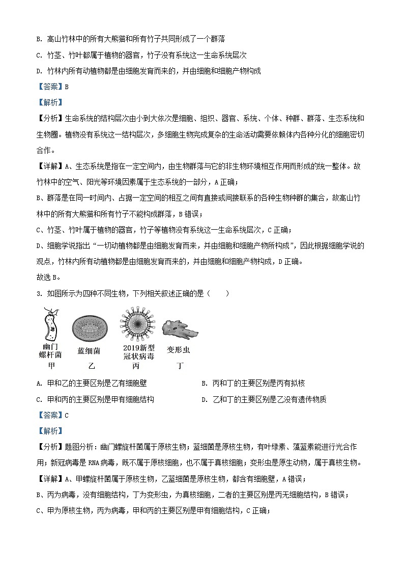 安徽省滁州市2024_2025学年高一生物上学期期中试题含解析第2页