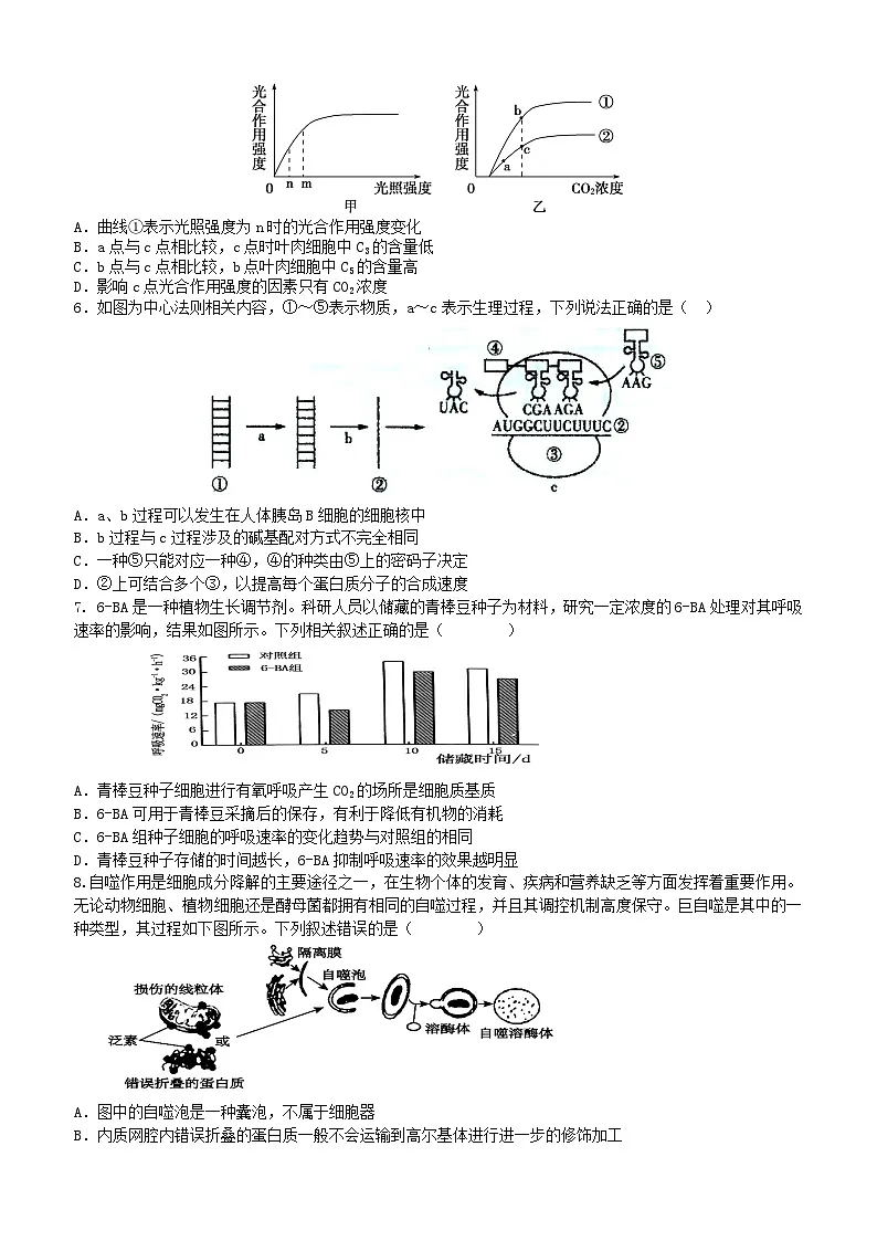 广东诗莞市七校联考2024_2025学年高三生物上学期12月月考试题第2页