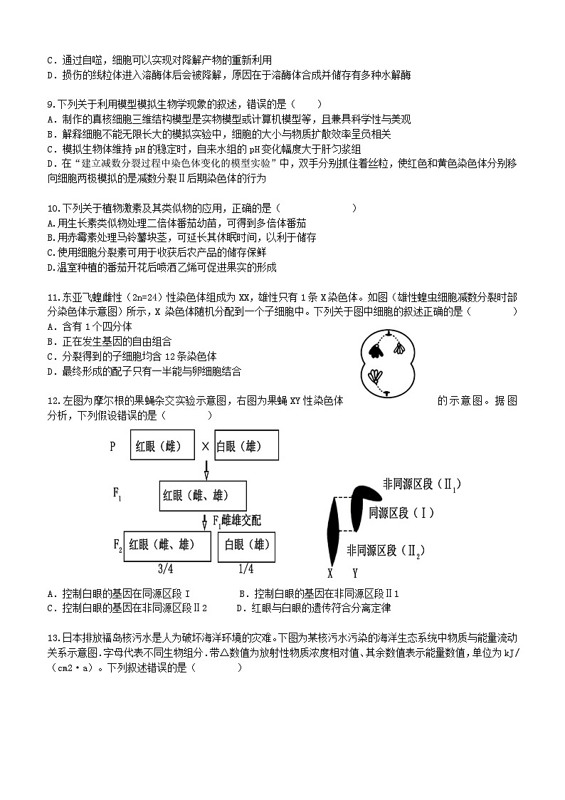 广东诗莞市七校联考2024_2025学年高三生物上学期12月月考试题第3页