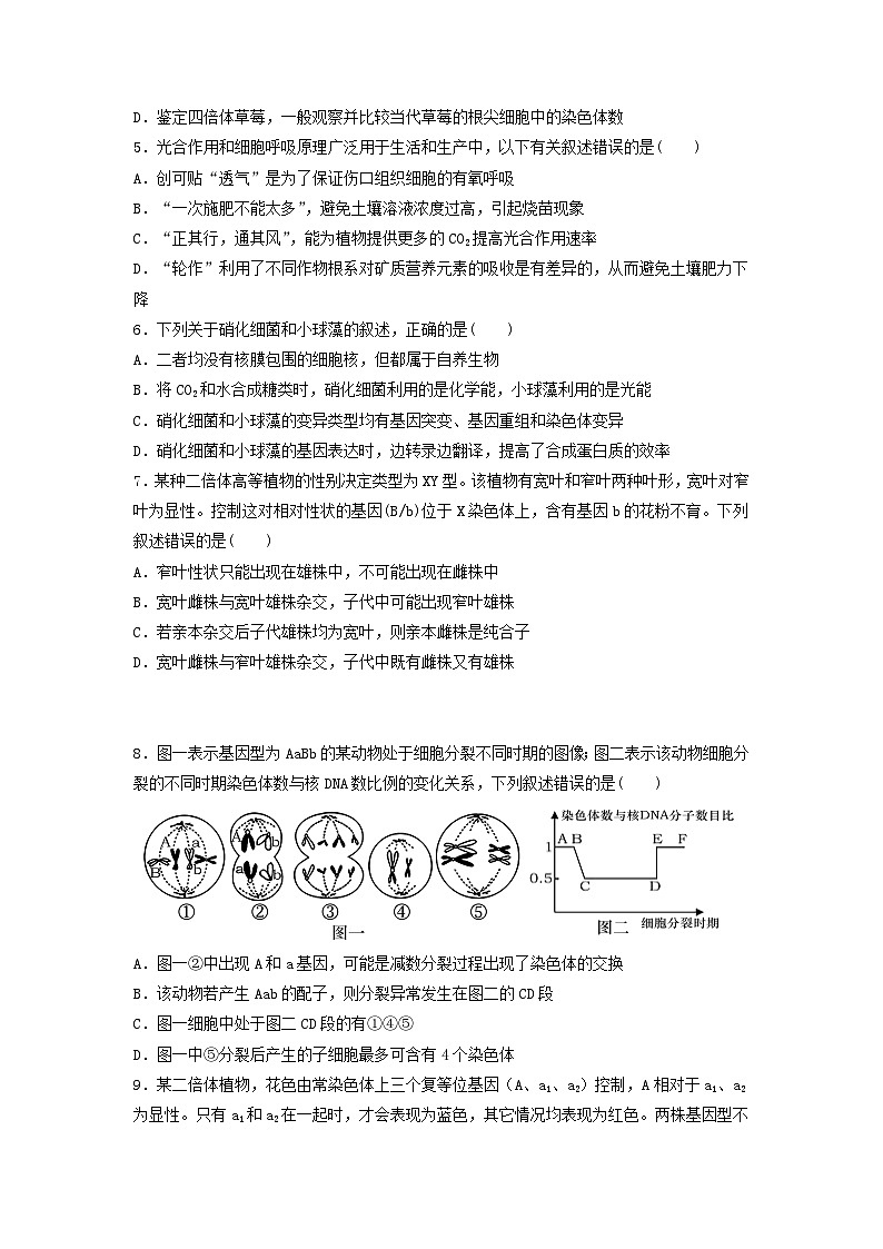 黑龙江省2024_2025学年高三生物上学期第12月第四次月考试题第2页