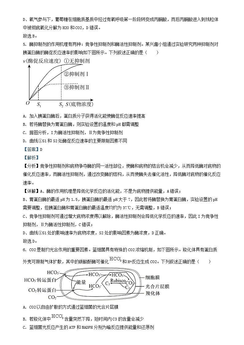 湖北省2024_2025学年高三生物上学期12月月考试题含解析第3页