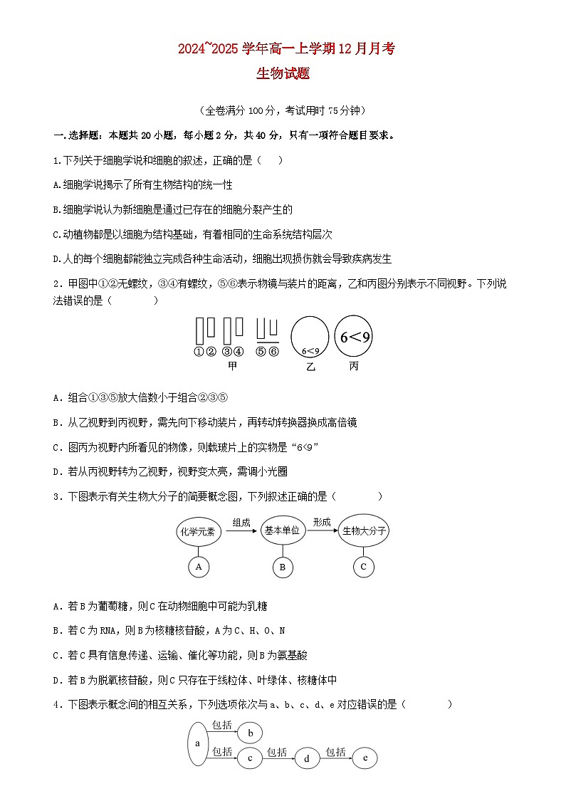 湖北省2024_2025学年高一生物上学期12月月考试题第1页