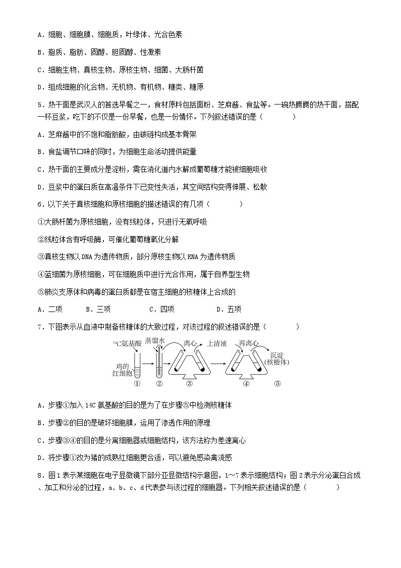 湖北省2024_2025学年高一生物上学期12月月考试题第2页