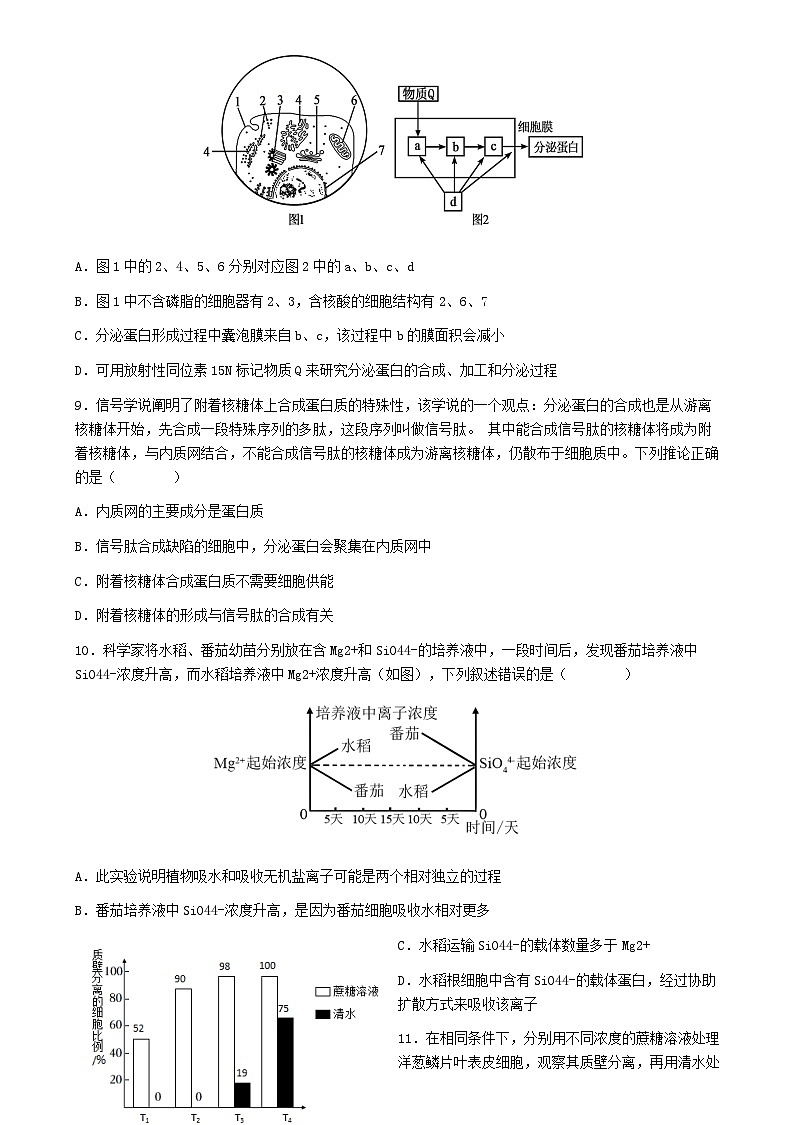 湖北省2024_2025学年高一生物上学期12月月考试题第3页
