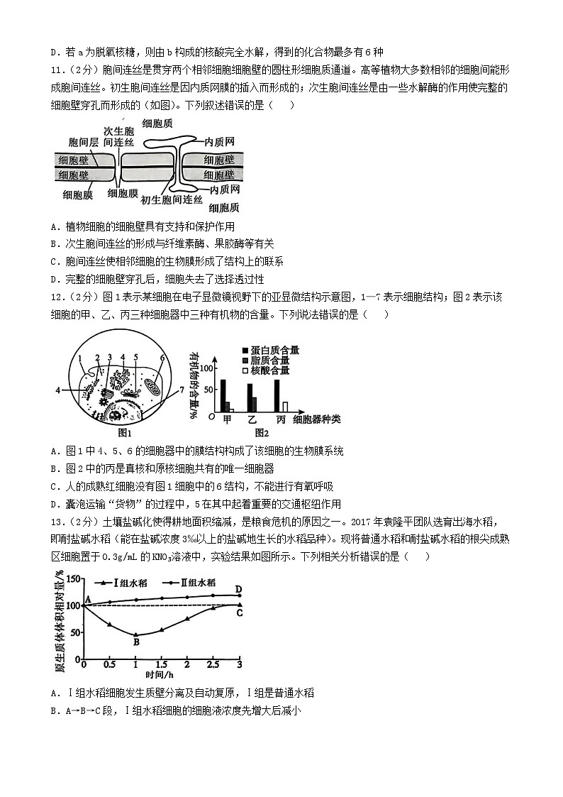 湖北省2024_2025学年高一生物上学期12月月考试题含解析第3页