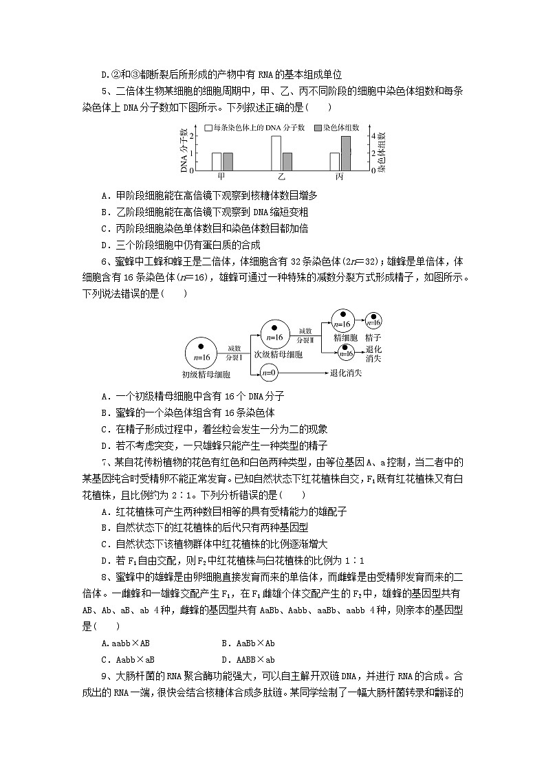 湖北省随州市2024_2025学年高三生物上学期12月联考试题第2页