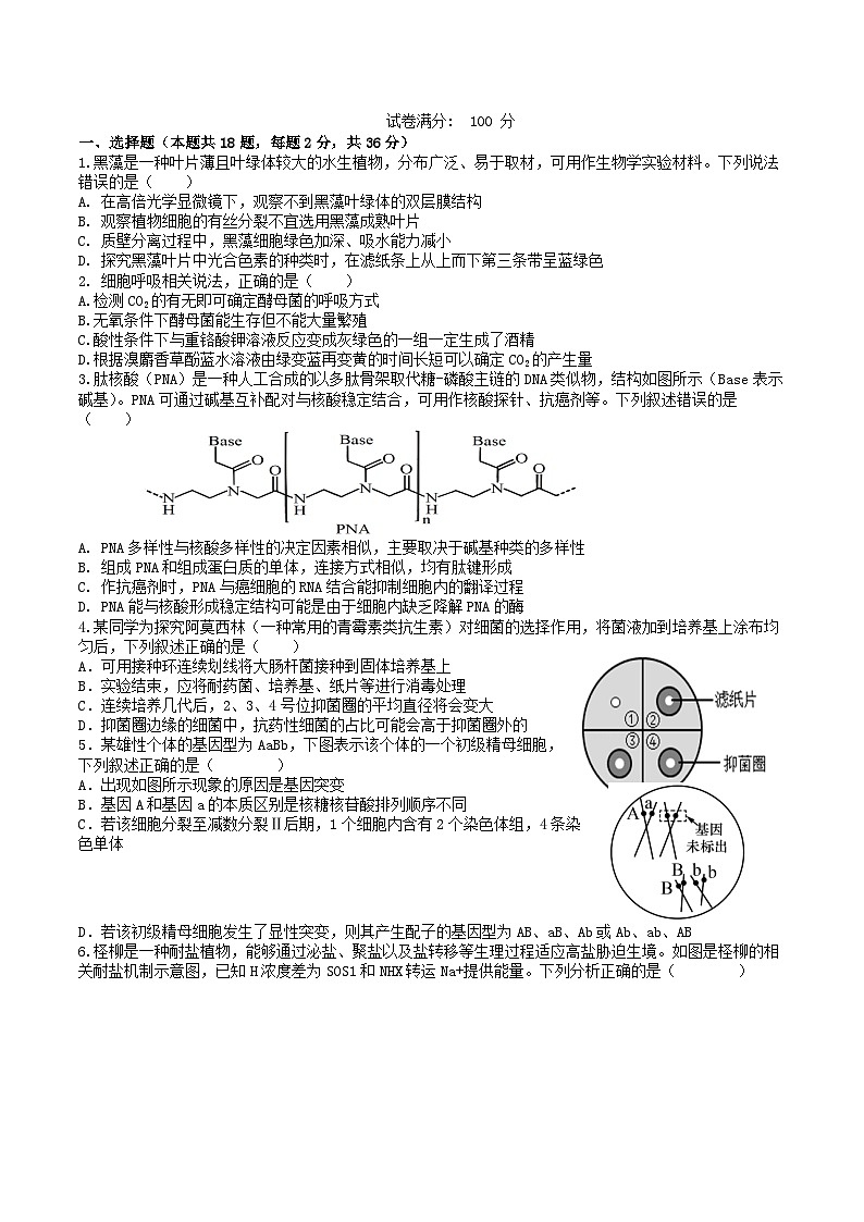 湖北省武汉市2024_2025学年高三生物上学期12月月考试题第1页
