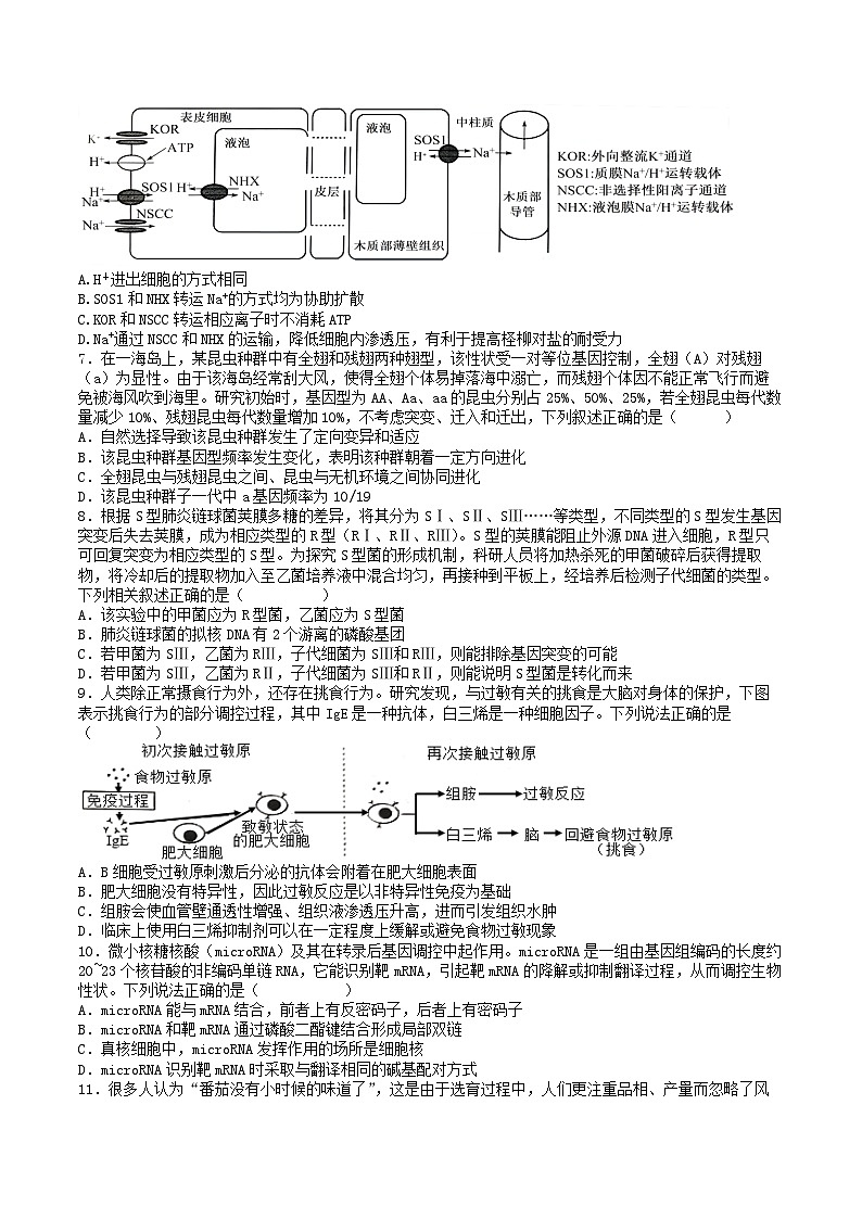 湖北省武汉市2024_2025学年高三生物上学期12月月考试题第2页