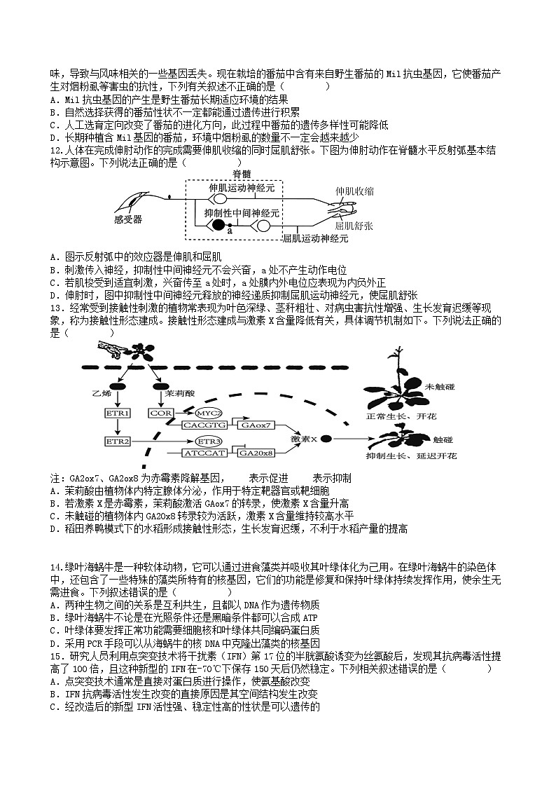 湖北省武汉市2024_2025学年高三生物上学期12月月考试题第3页