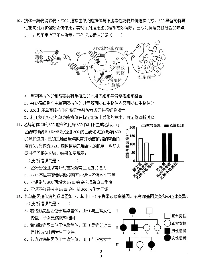 湖北剩州市2024_2025学年高三生物上学期12月月考试题含解析第3页