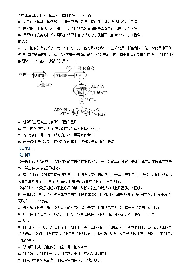 湖南省2024_2025学年高三生物上学期12月月考试题含解析第3页