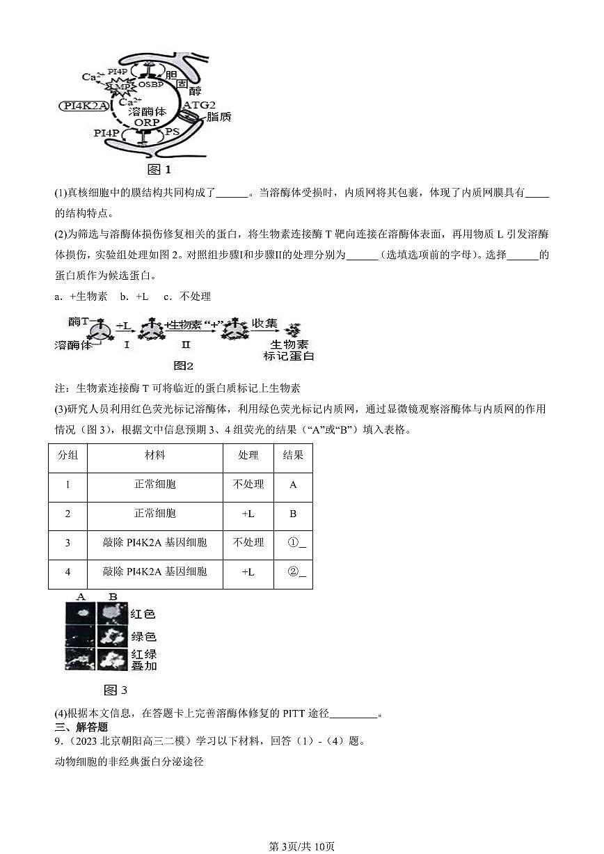 2023-2025北京高三二模[高考模拟]生物汇编：细胞器之间的分工合作第3页