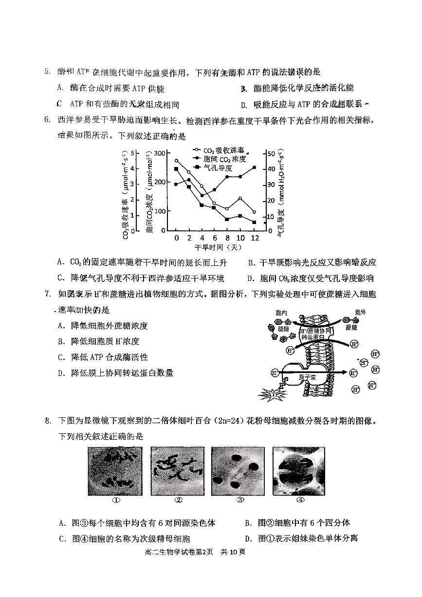 2025北京延庆高二（下）期末真题生物试卷（教师版）第2页