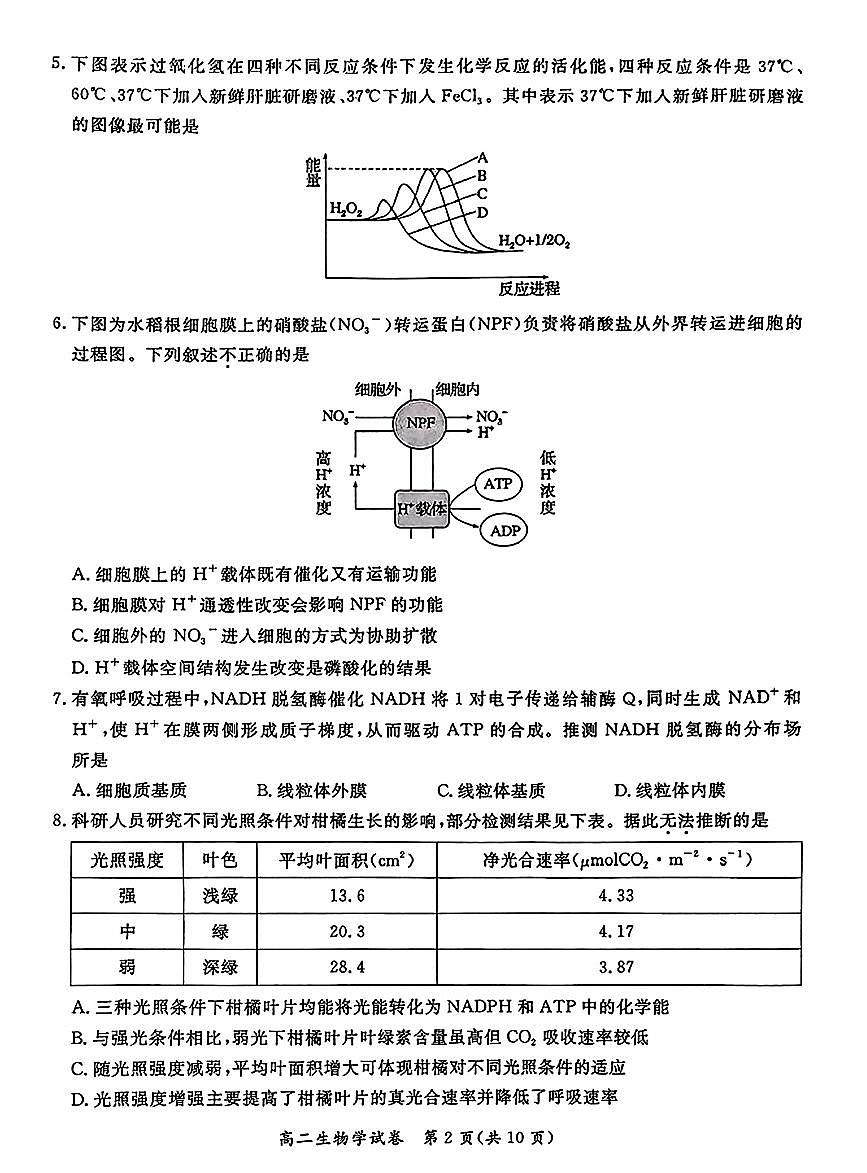 2025北京通州高二（下）期末真题生物试卷第2页