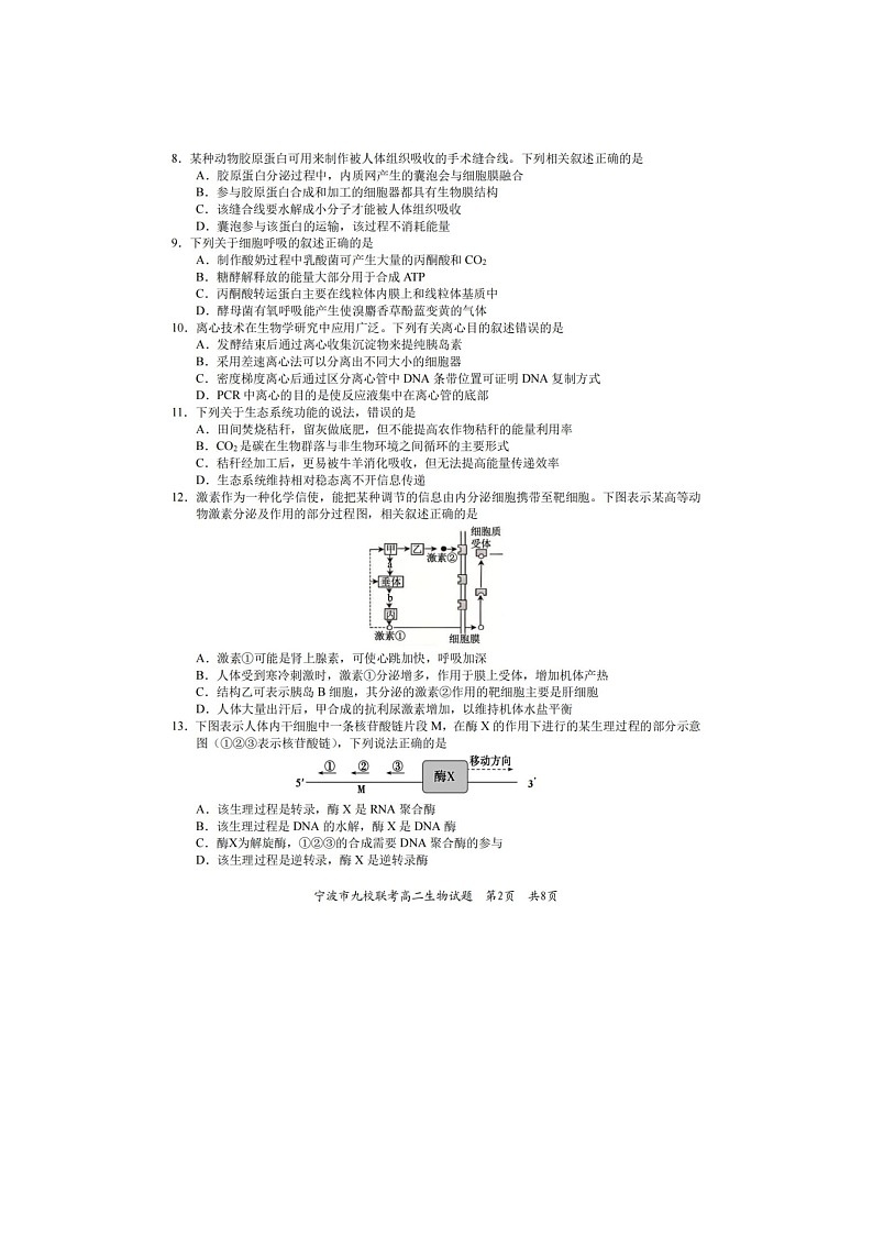 浙江省宁波市2024-2025学年高二下学期期末九校联考生物卷含答案第2页