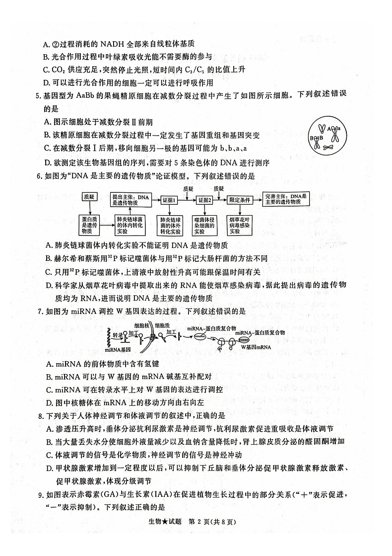 2025河南青桐鸣高三下学期2月联考生物试题（含答案）第2页