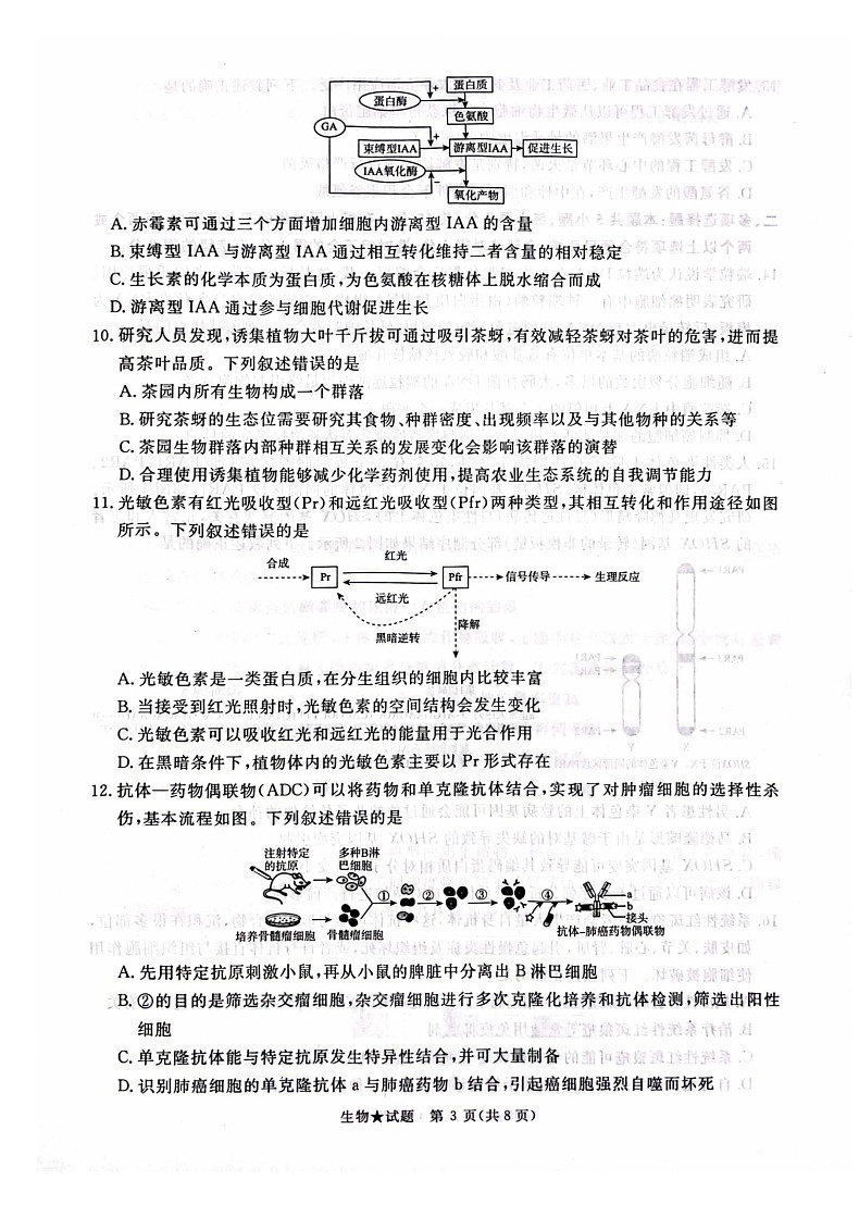 2025河南青桐鸣高三下学期2月联考生物试题（含答案）第3页