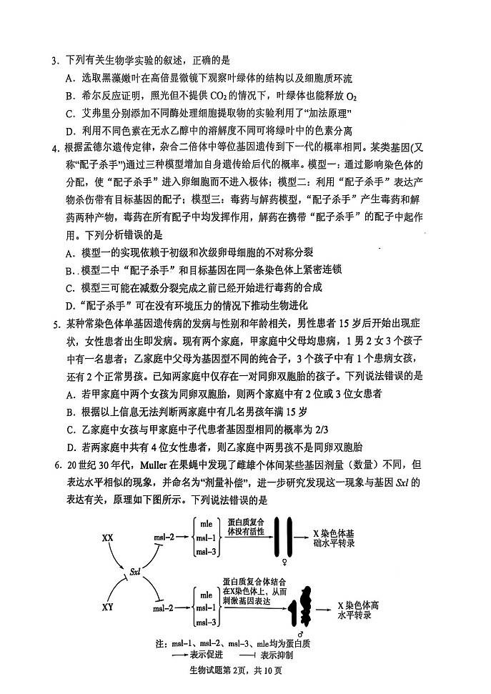 2025届山东省实验中学高三下学期第四次诊断考试-生物试题（含答案）第2页
