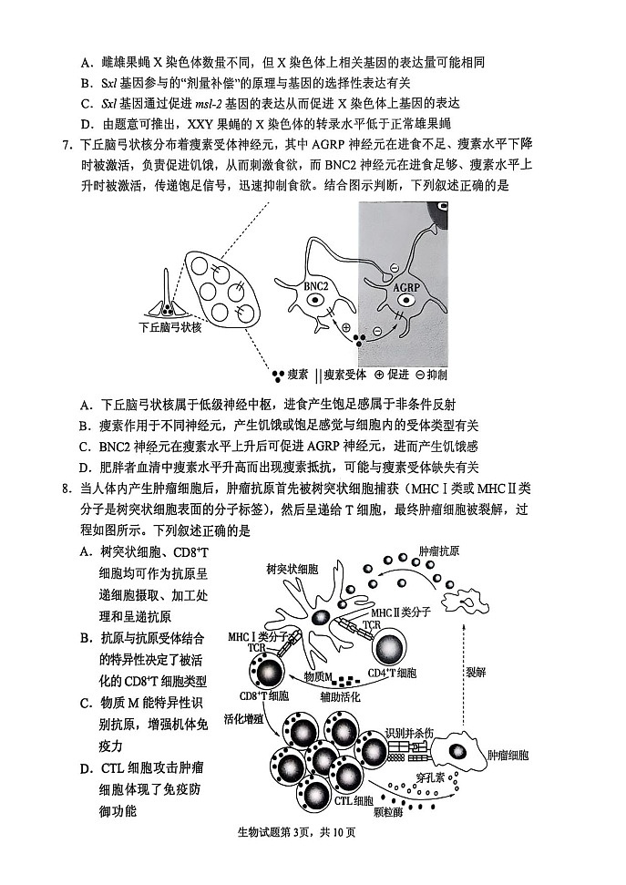 2025届山东省实验中学高三下学期第四次诊断考试-生物试题（含答案）第3页