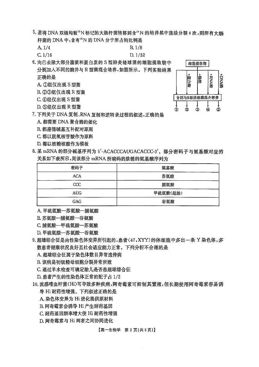 河南省新乡市2024-2025学年高一下学期7月期末考试生物试题（PDF版附解析）第2页