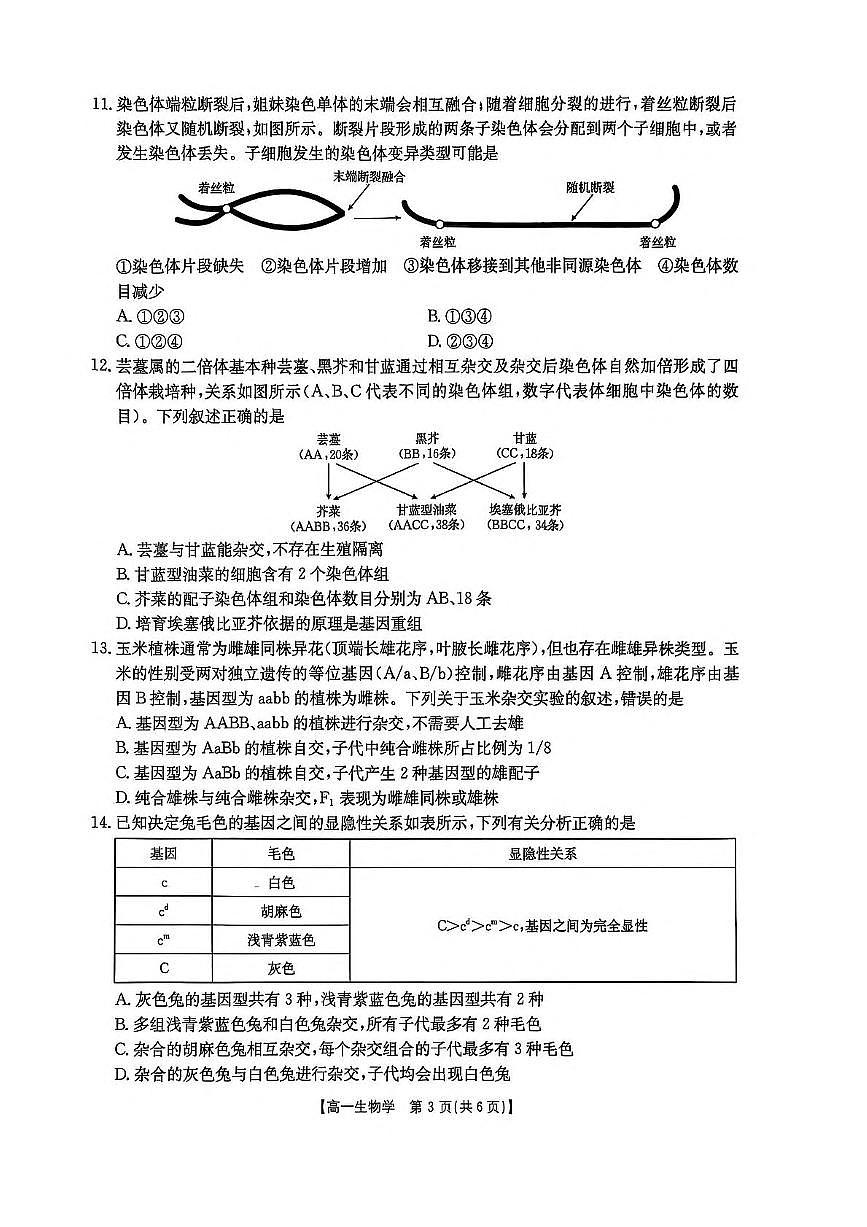 河南省新乡市2024-2025学年高一下学期7月期末考试生物试题（PDF版附解析）第3页