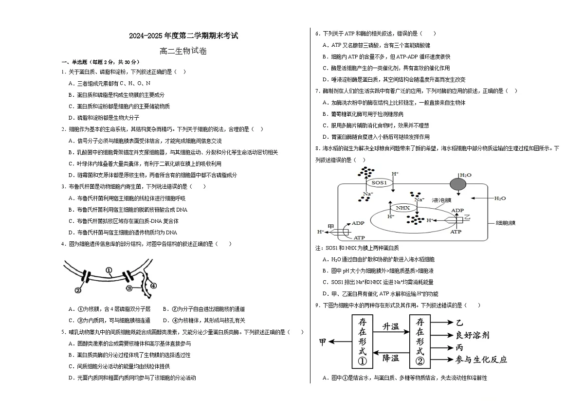 2024-2025学年度第二学期期末考试生物第1页