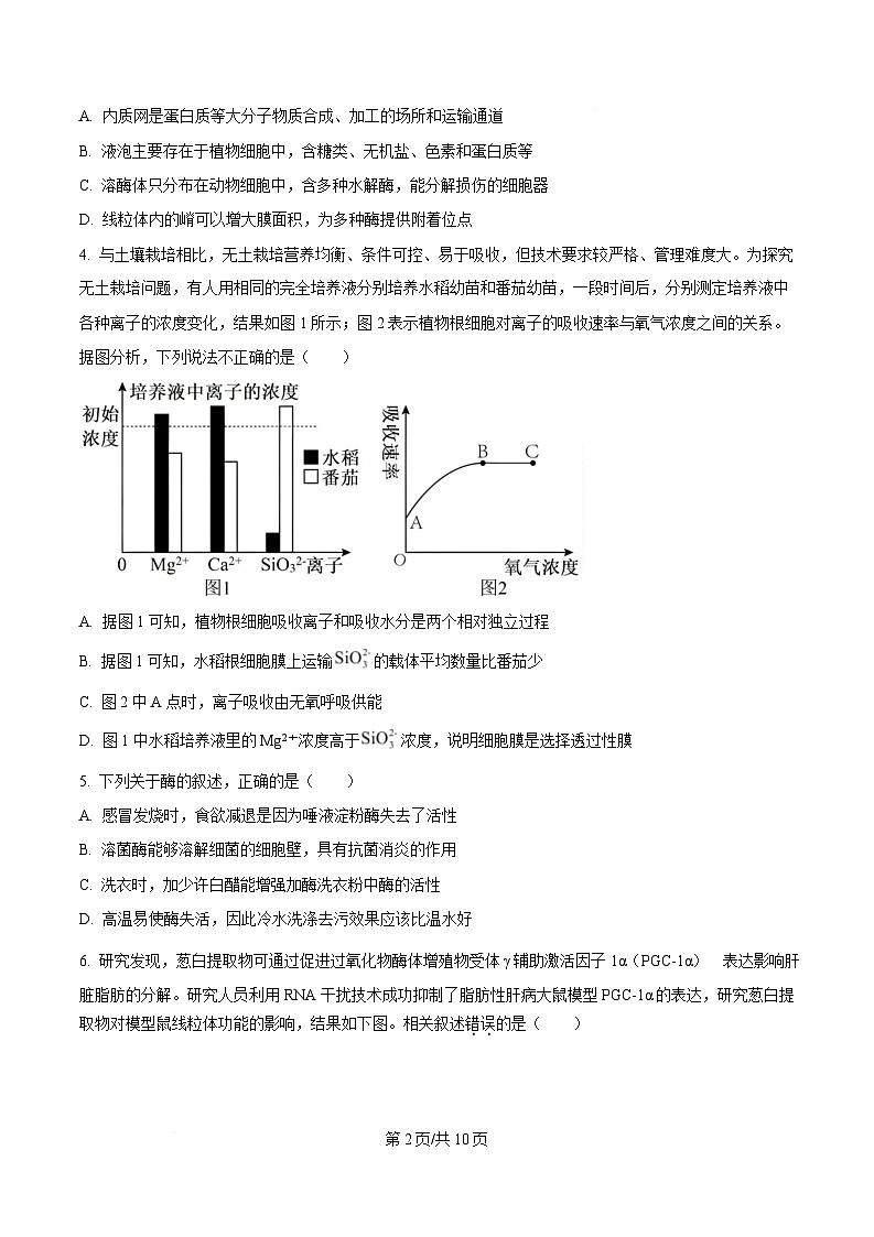 湖北省部分高中协作体2024-2025学年高一下学期6月期末生物试题  Word版无答案第2页