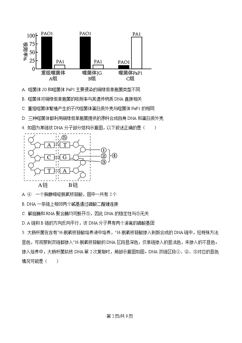 湖北省武汉市部分重点中学2024-2025学年高一下学期6月期末联考生物试卷  Word版无答案第2页