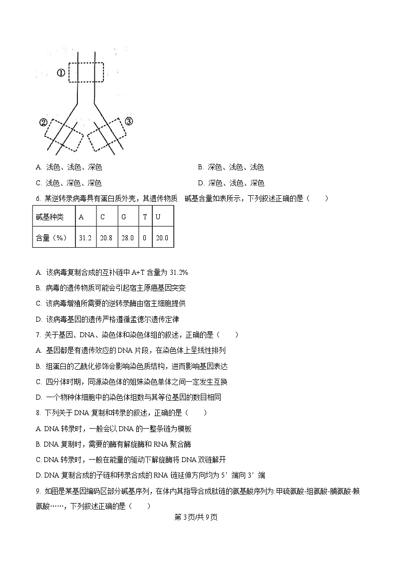 湖北省武汉市部分重点中学2024-2025学年高一下学期6月期末联考生物试卷  Word版无答案第3页