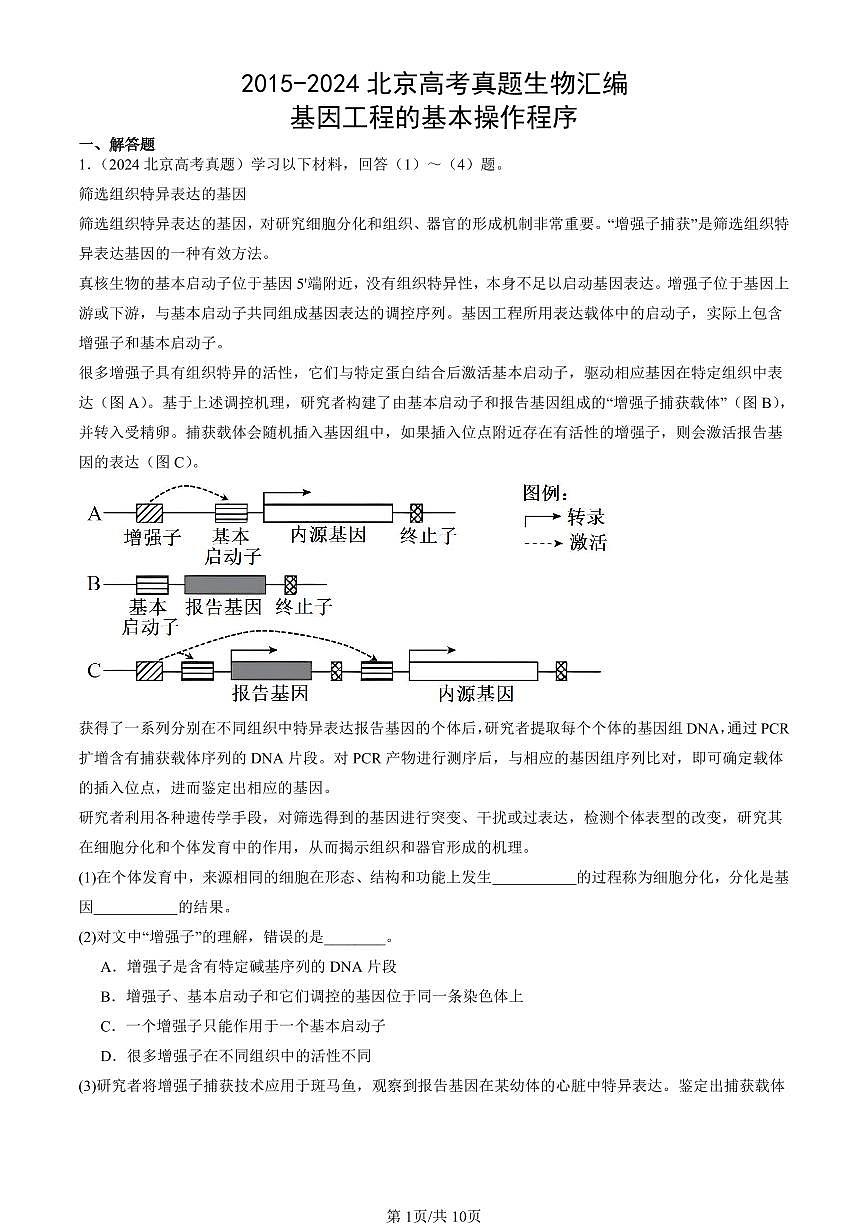 2015-2024北京高考真题生物汇编：基因工程的基本操作程序 有答案第1页