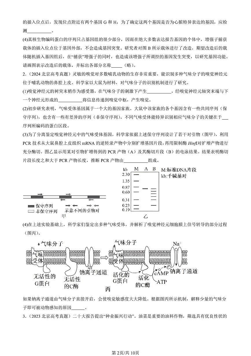 2015-2024北京高考真题生物汇编：基因工程的基本操作程序 有答案第2页