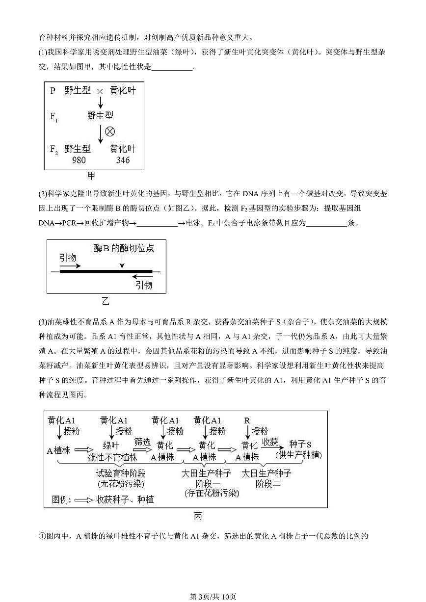 2015-2024北京高考真题生物汇编：基因工程的基本操作程序 有答案第3页