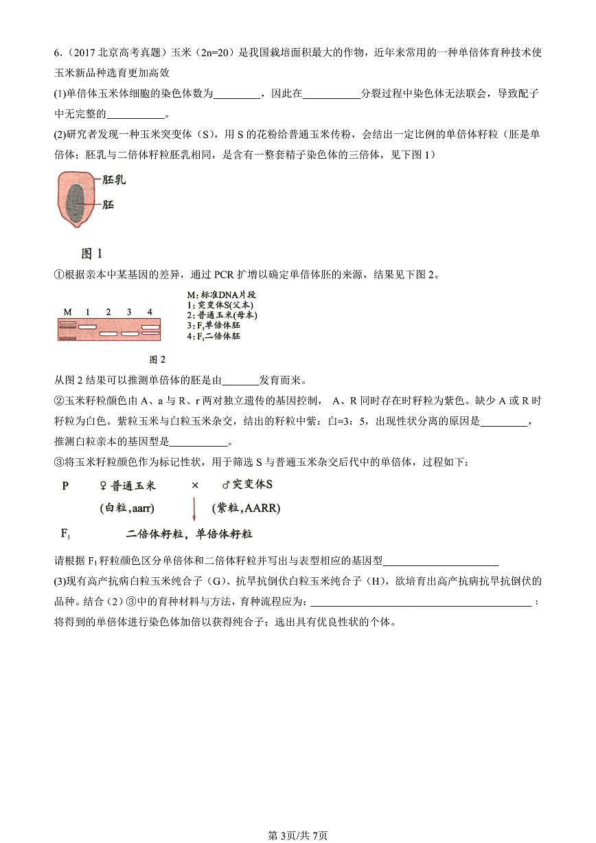 2015-2024北京高考真题生物汇编：植物细胞工程 有答案第3页