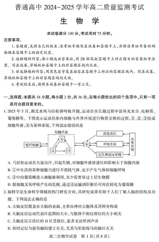 湖北省恩施州2025届新高二下学期7月质量监测考试-生物试卷+答案第1页