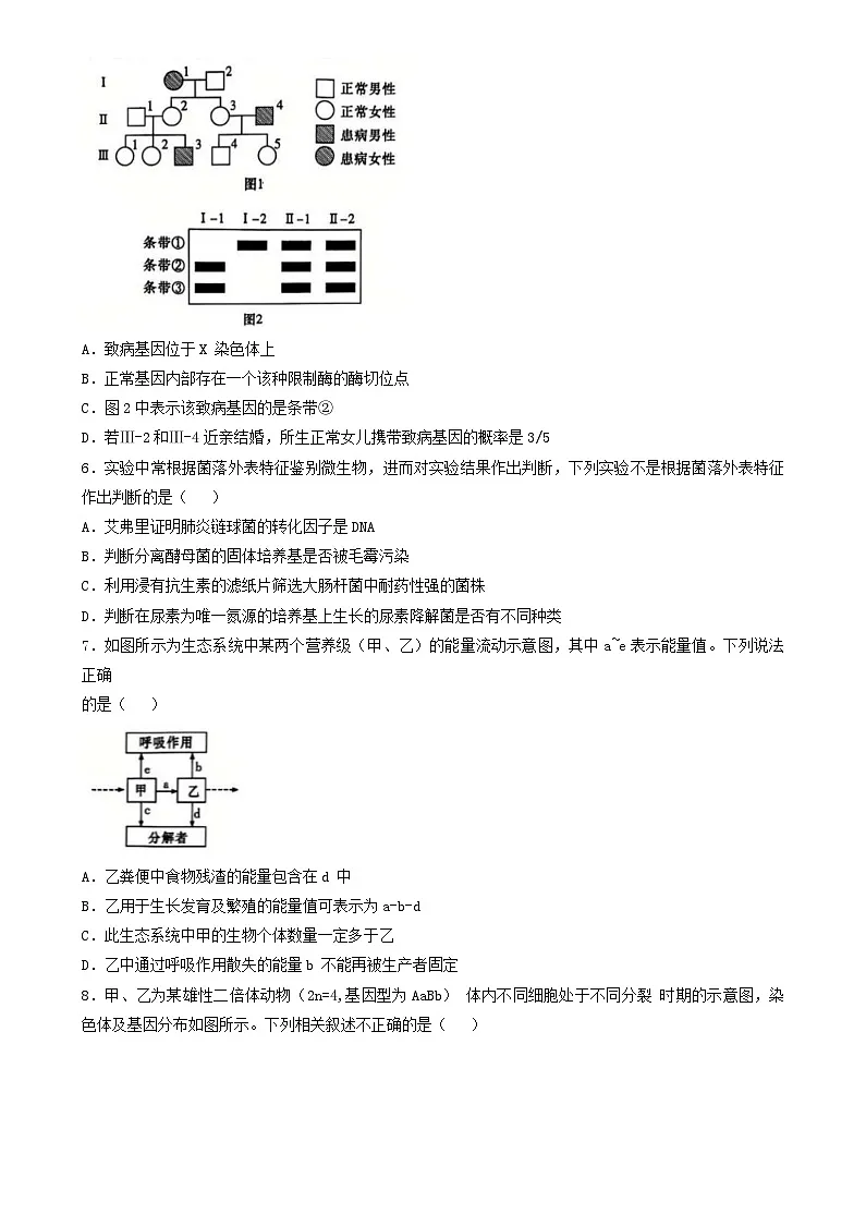 湖南省长沙市2024_2025学年高三生物上学期第四次月考试卷含解析第2页