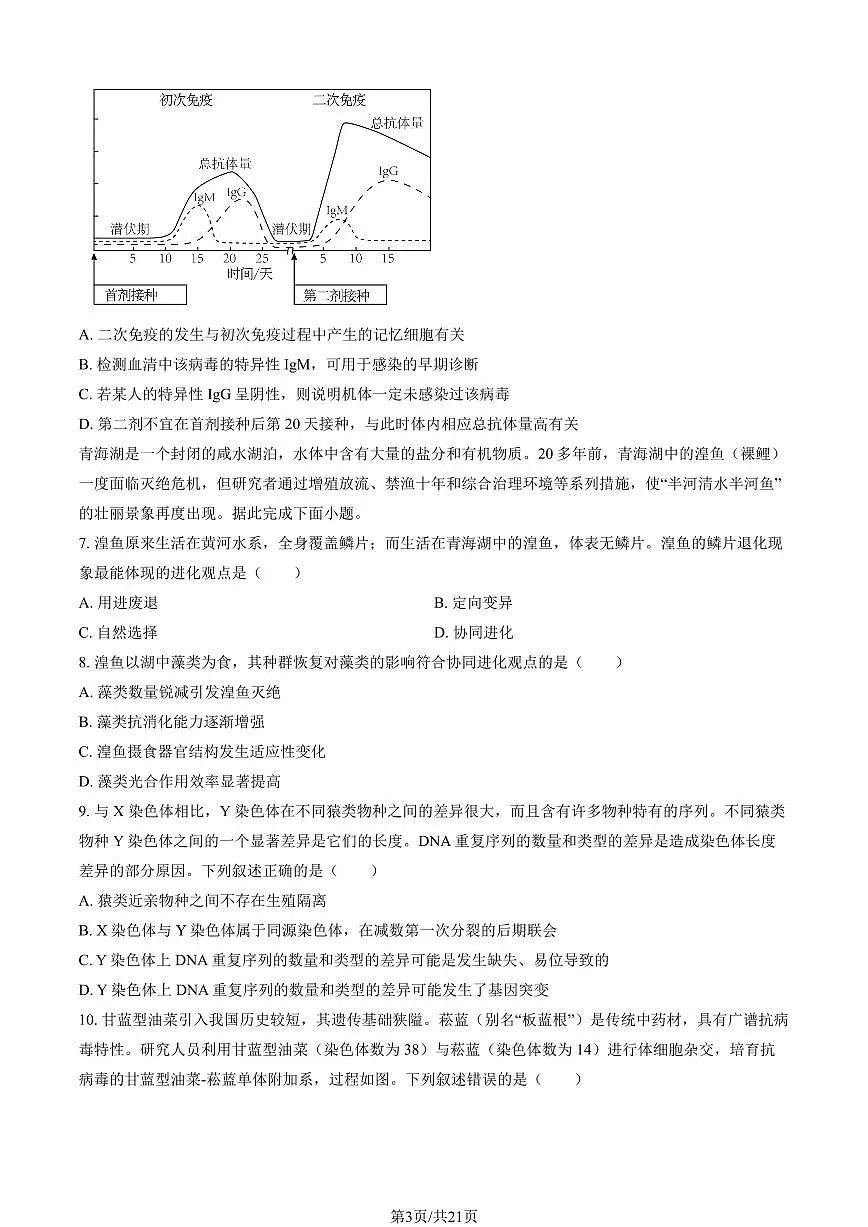 2025北京大兴精华学校高三三模[高考模拟]生物试卷（教师版）第3页