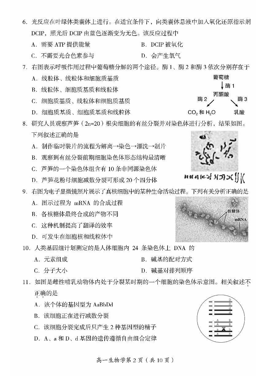 2025北京房山高一（下）期末真题生物试卷第2页
