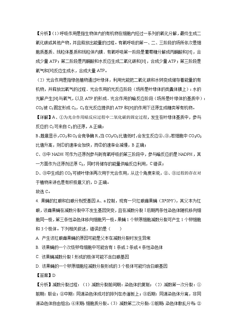 云南省拟联考2025届年高三下5月月考生物试卷（解析版）第3页