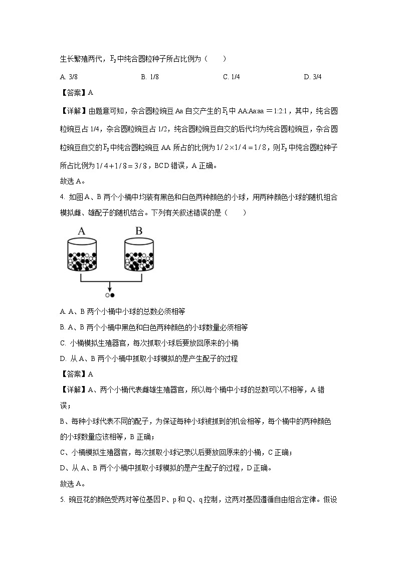 吉林省部分学校2024-2025学年高一下学期期中联考 生物试卷（解析版）第2页
