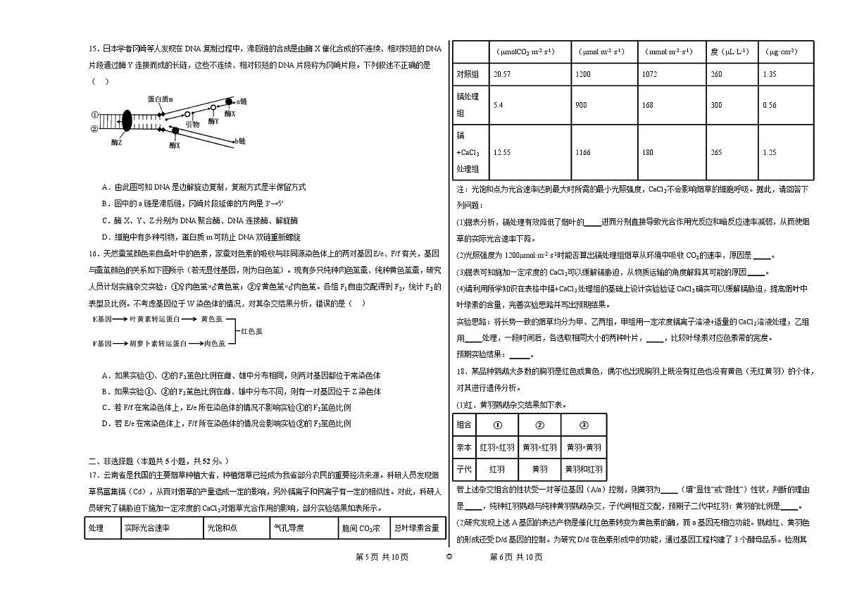 宁夏石嘴山市第一中学2024-2025学年高三上学期1月期末生物试卷（含答案）第3页